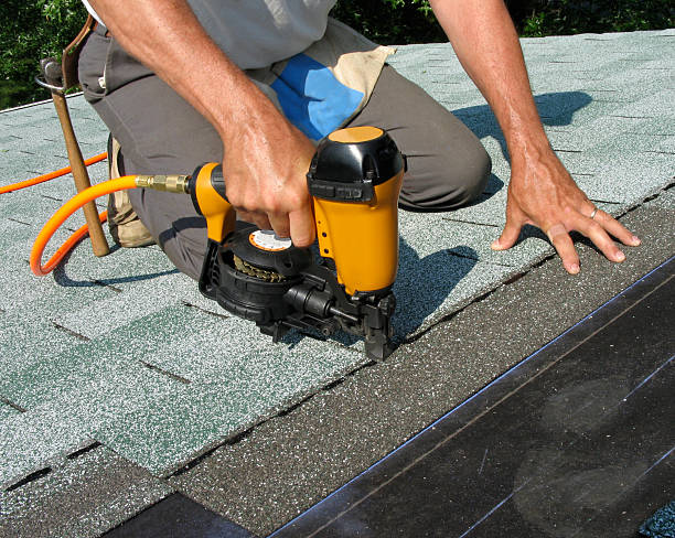 Best Local Roofing Companies  in Appleton City, MO