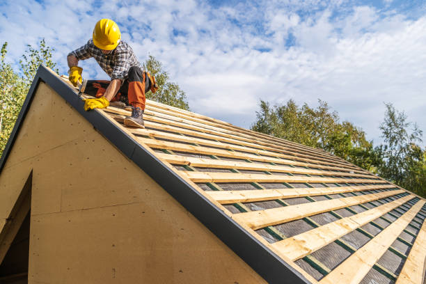 Professional Roofing Contractor in Appleton City, MO