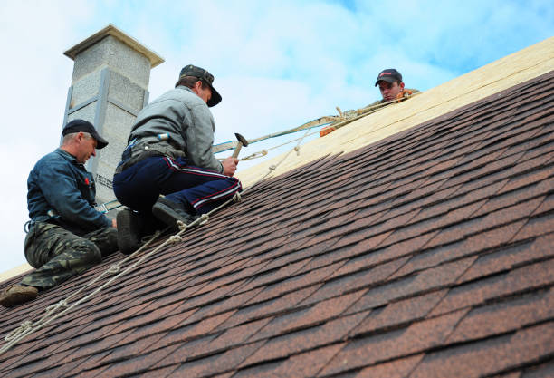 Best Roof Waterproofing Services  in Appleton City, MO